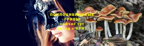 ГАЛЛЮЦИНОГЕННЫЕ ГРИБЫ Балабаново