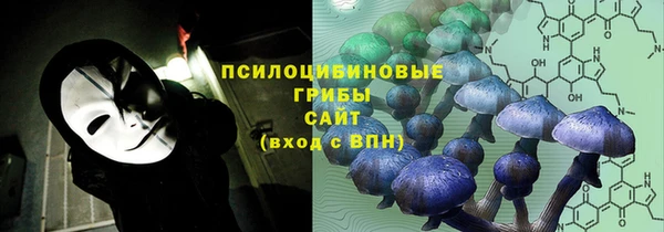 ешки Балахна