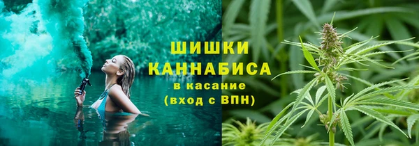 ГАЛЛЮЦИНОГЕННЫЕ ГРИБЫ Баксан