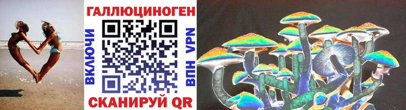 Псилоцибиновые грибы Psilocybine cubensis  Нерчинск 