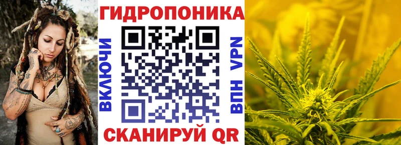 Бошки марихуана конопля  цена наркотик  Нерчинск 